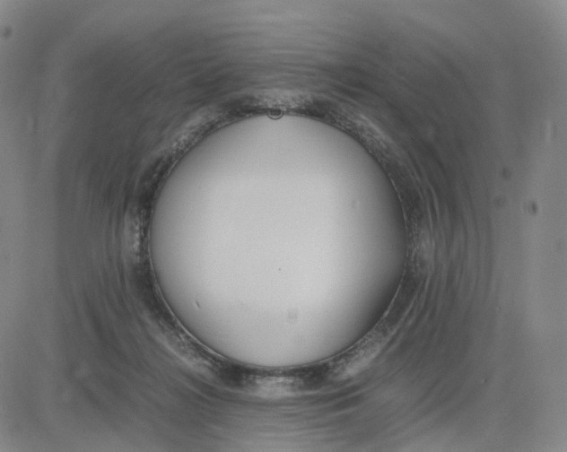 X0000083010268200702231820