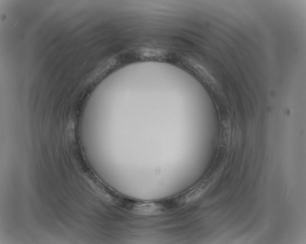 X0000083010269200702231820