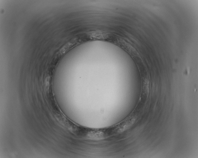 X0000083010271200702231820