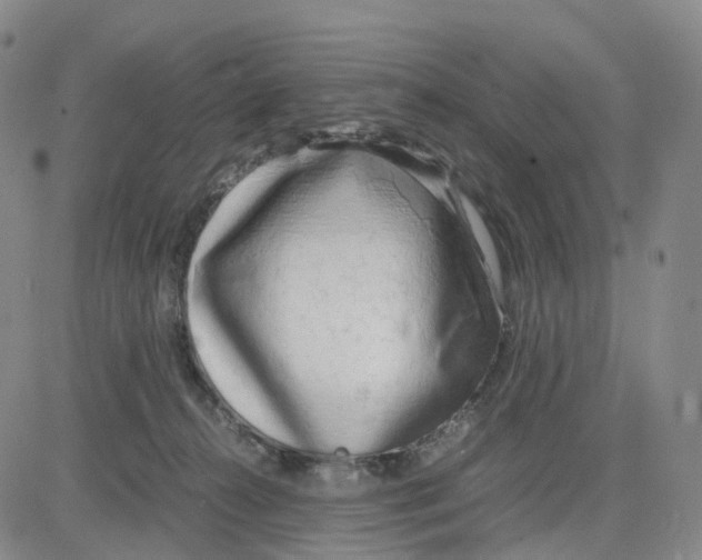 X0000083010272200702231820