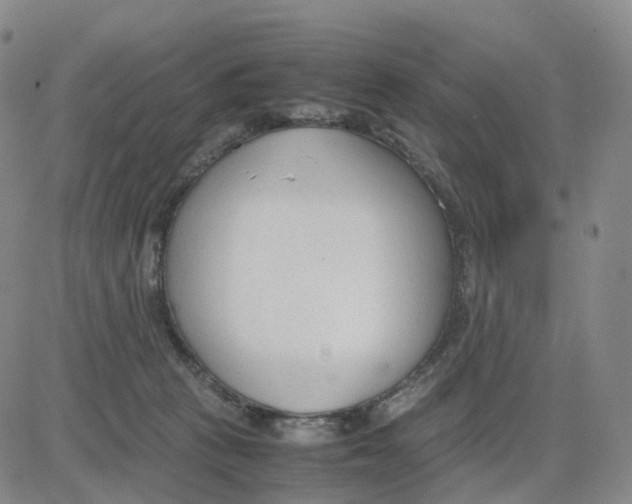 X0000083010273200702231820