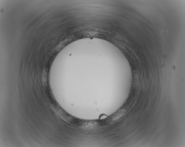 X0000083010274200702231820