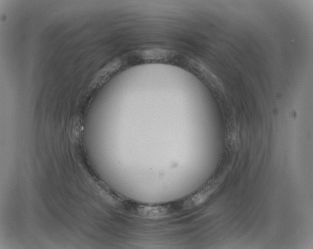 X0000083010277200702231820