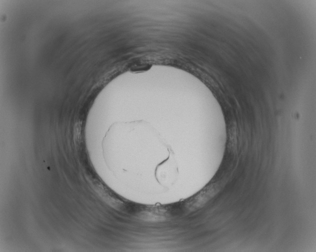 X0000083010278200702231820