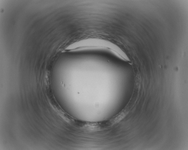 X0000083010280200702231820