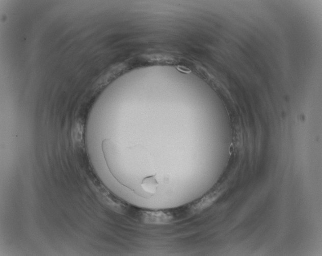 X0000083010281200702231820