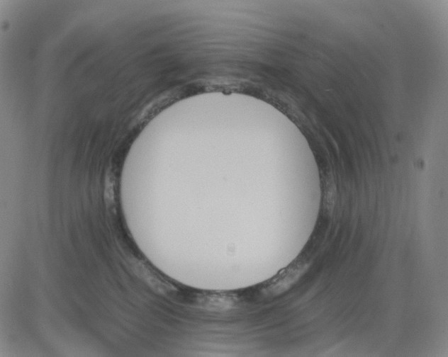 X0000083010282200702231820