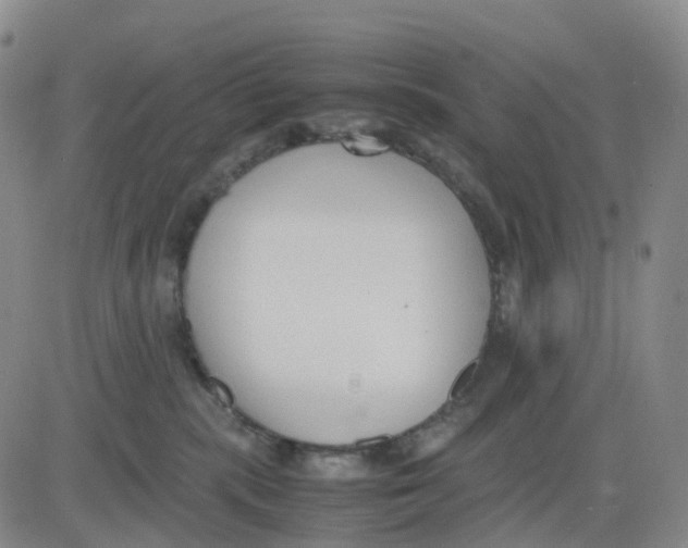 X0000083010283200702231820