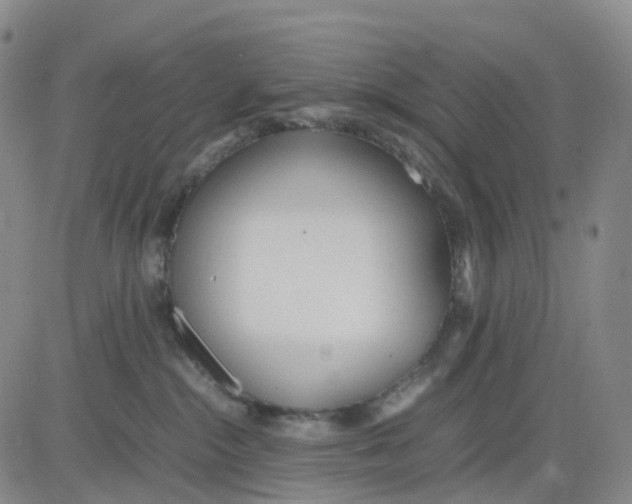 X0000083010284200702231820