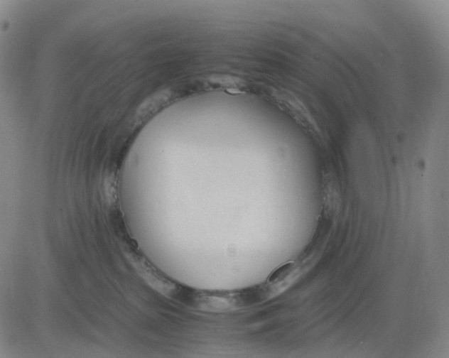 X0000083010285200702231820