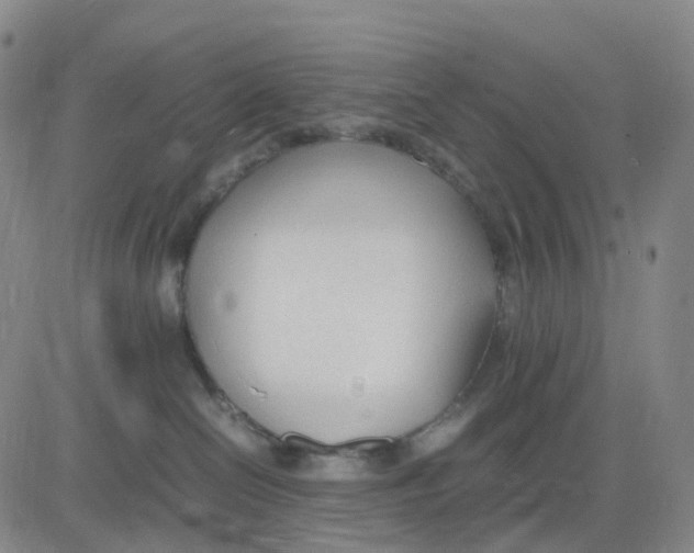 X0000083010286200702231820