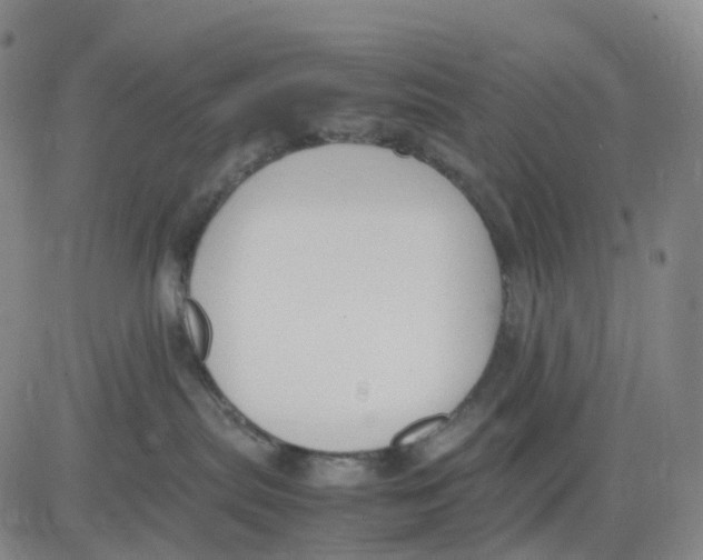 X0000083010287200702231820