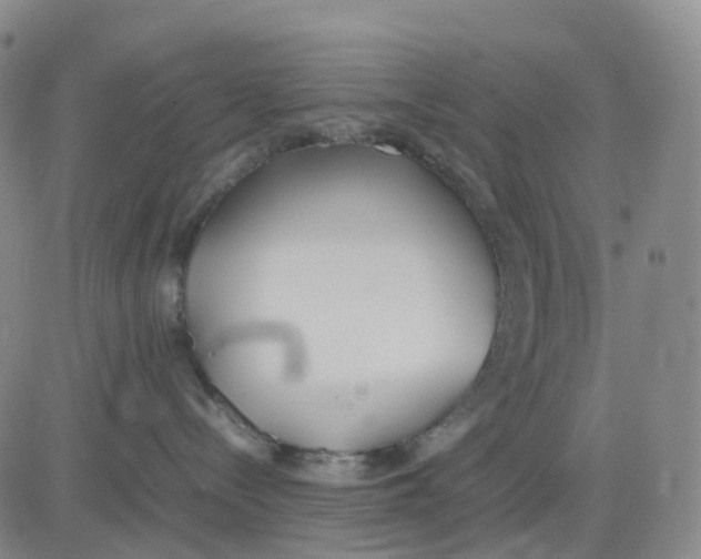 X0000083010288200702231820