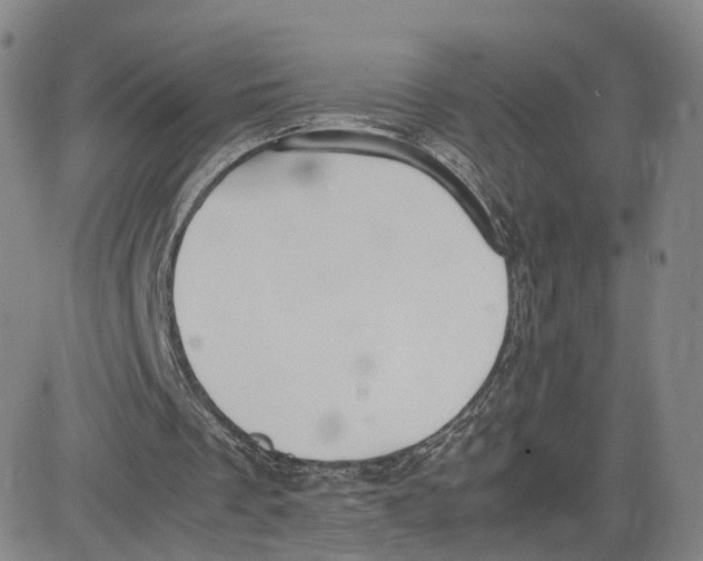 X0000083010289200702231819