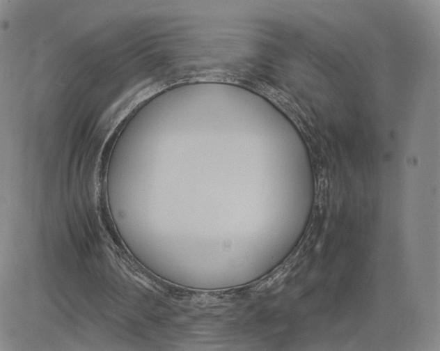 X0000083010290200702231819