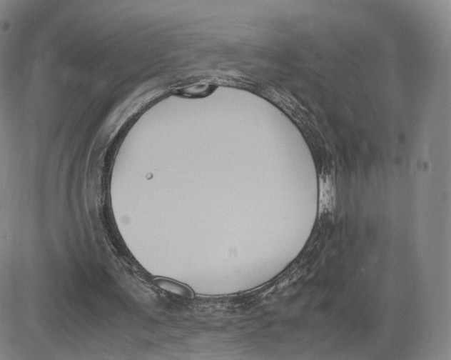 X0000083010291200702231819