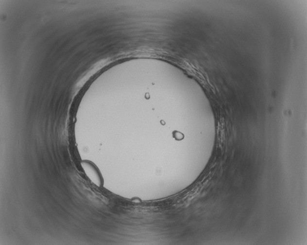 X0000083010292200702231819