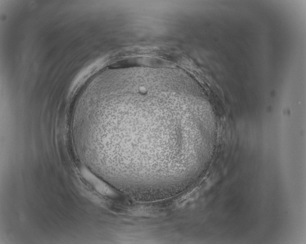 X0000083010293200702231819