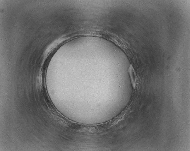 X0000083010294200702231819