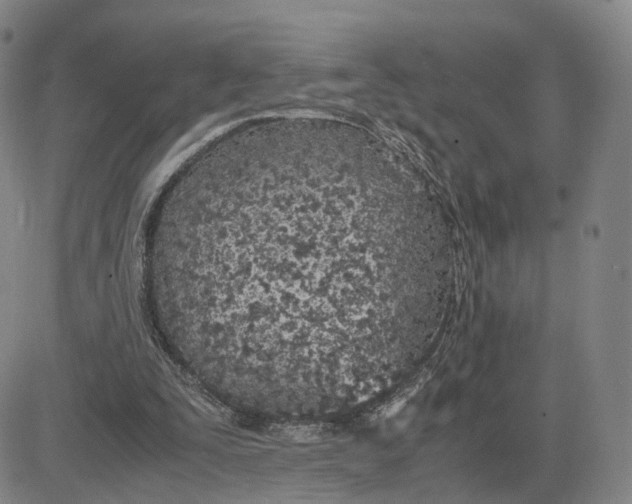 X0000083010295200702231819