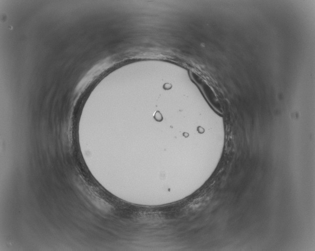 X0000083010296200702231819