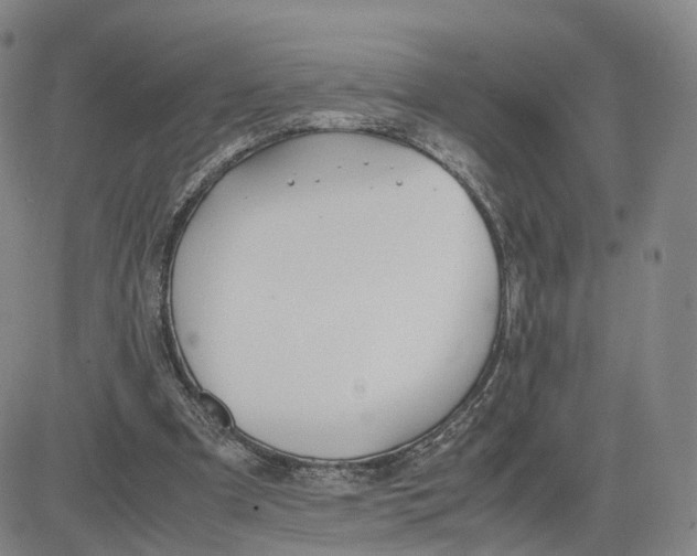 X0000083010297200702231819