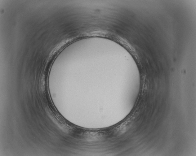 X0000083010298200702231819