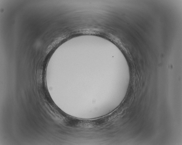 X0000083010299200702231819