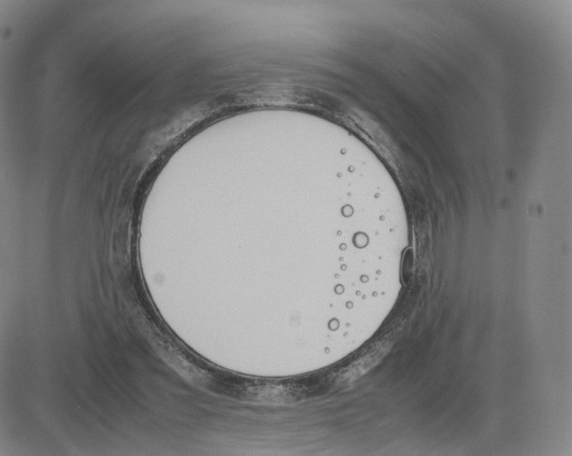 X0000083010301200702231819