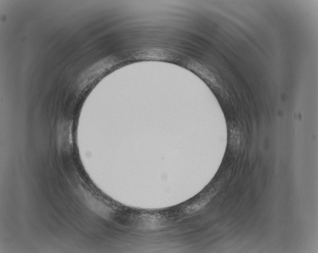 X0000083010302200702231819