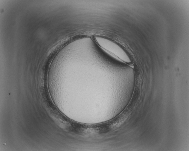 X0000083010303200702231819