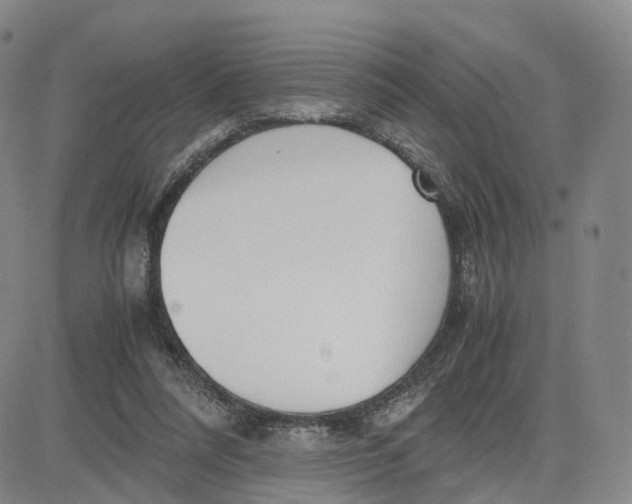 X0000083010304200702231819