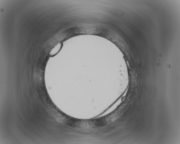 X0000083010305200702231819