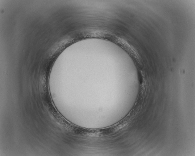 X0000083010306200702231819