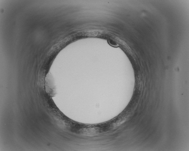 X0000083010307200702231819