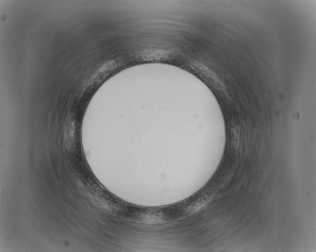 X0000083010308200702231819