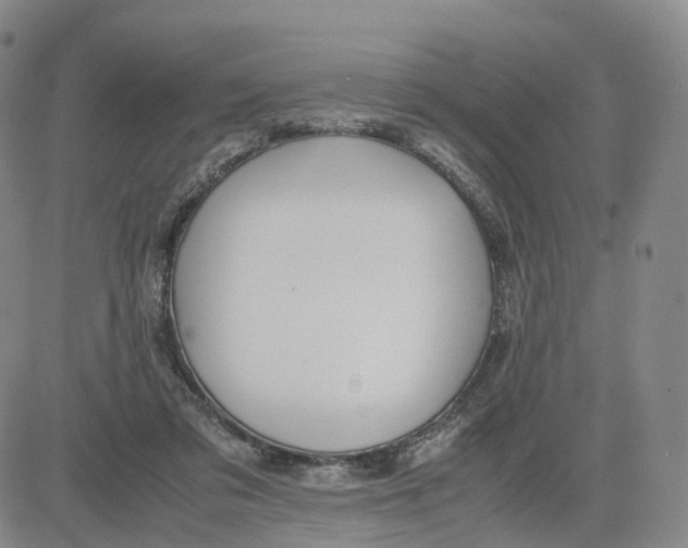 X0000083010309200702231819