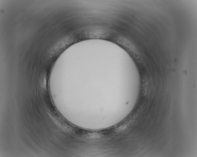 X0000083010310200702231819