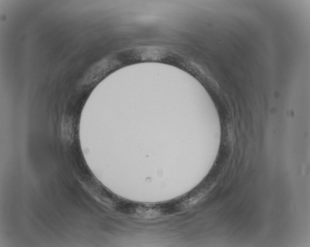 X0000083010311200702231819