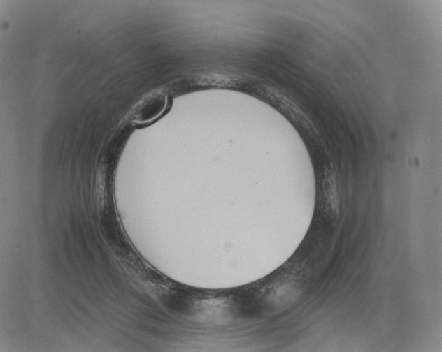 X0000083010312200702231819