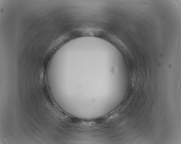 X0000083010314200702231819