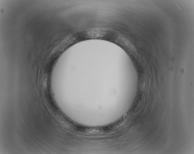 X0000083010315200702231819