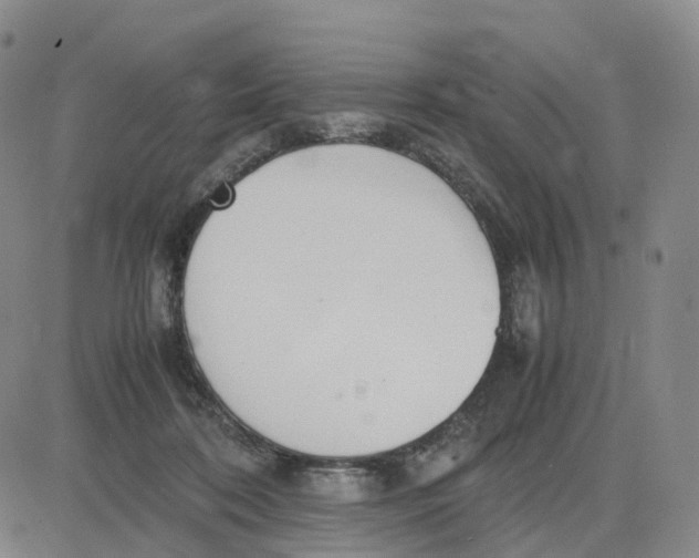 X0000083010316200702231819