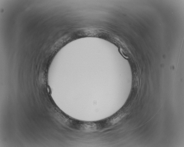 X0000083010317200702231819