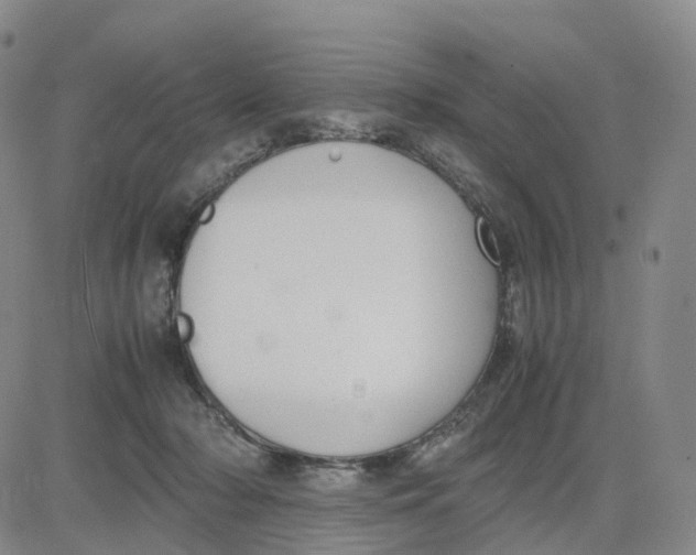 X0000083010318200702231819