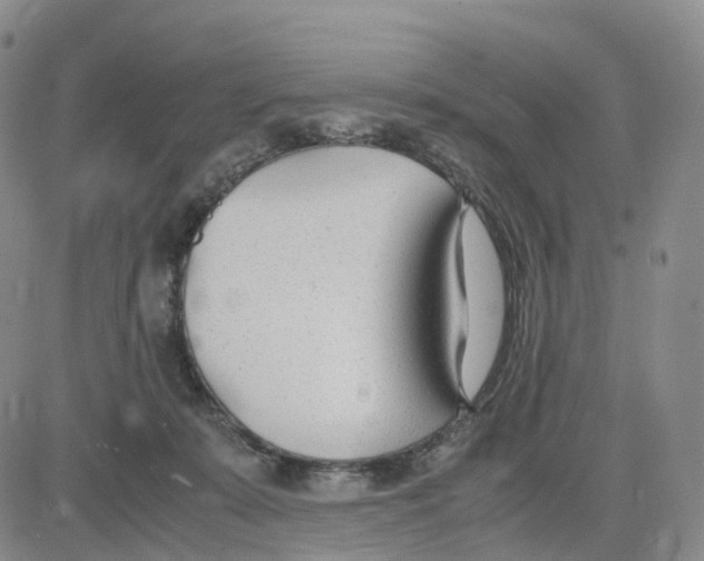 X0000083010319200702231819