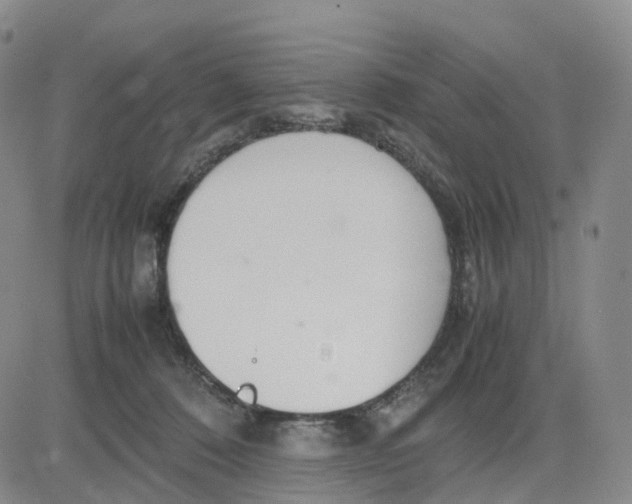 X0000083010320200702231819