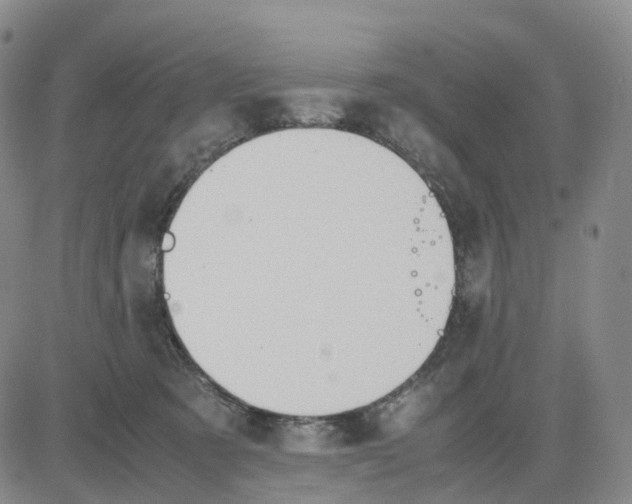 X0000083010321200702231819