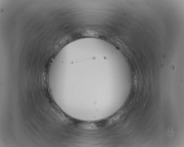 X0000083010322200702231819