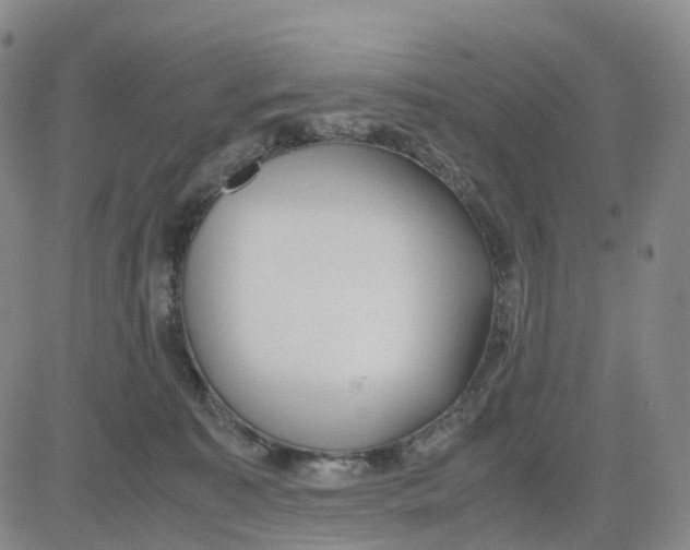 X0000083010323200702231819